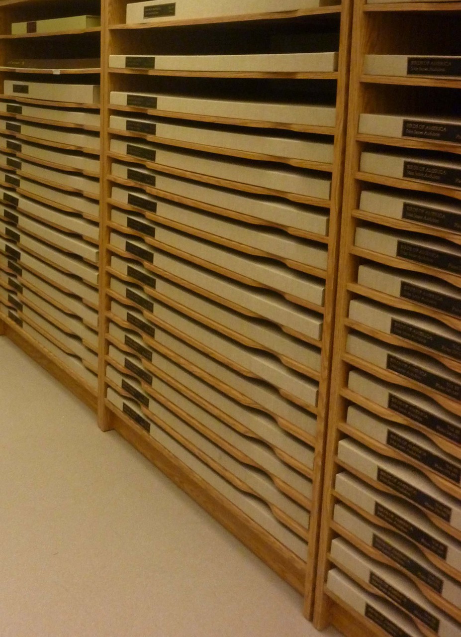 Storage for some of the Audubon plates