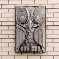 Owl, 2005