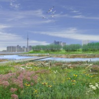 View of the banks of the Don River naturalized with wetlands, meadows and park spaces