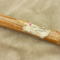 Close-up of Joan Bodger's Walking Stick